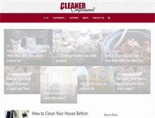 Tablet Screenshot of cleanerconfessions.com